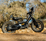 Harley-Davidson STACYC 12eDrive